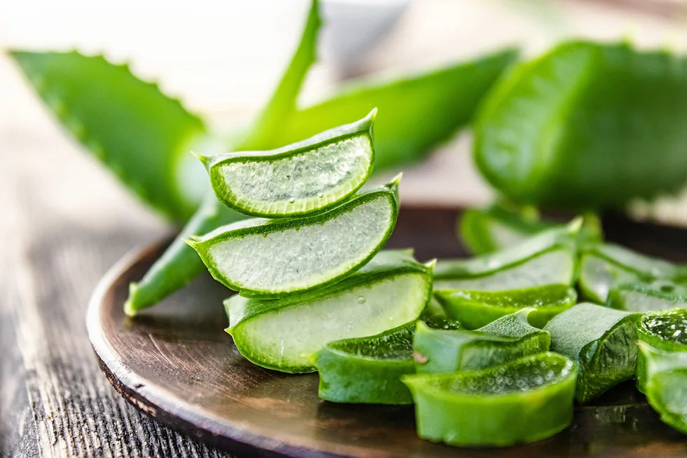 The Wonders of Aloe Vera: A Comprehensive Guide to its Benefits and Uses