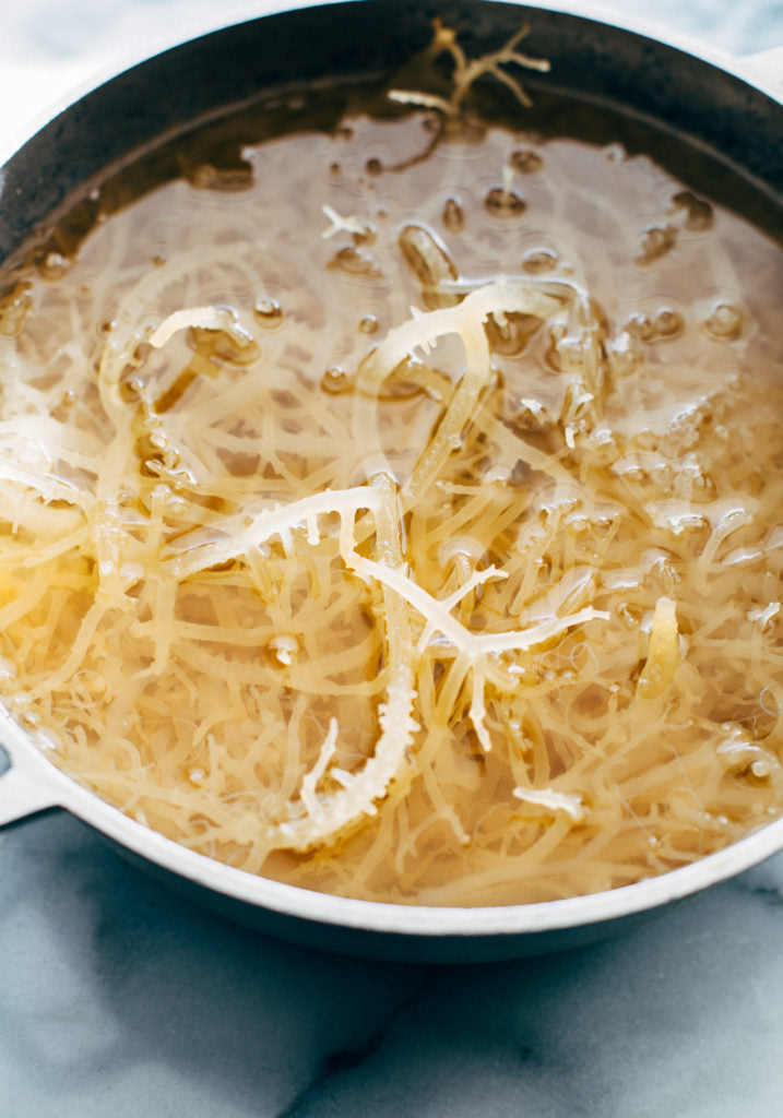 Drinking Sea Moss? The Sea Moss Smoothie You Need to Try!