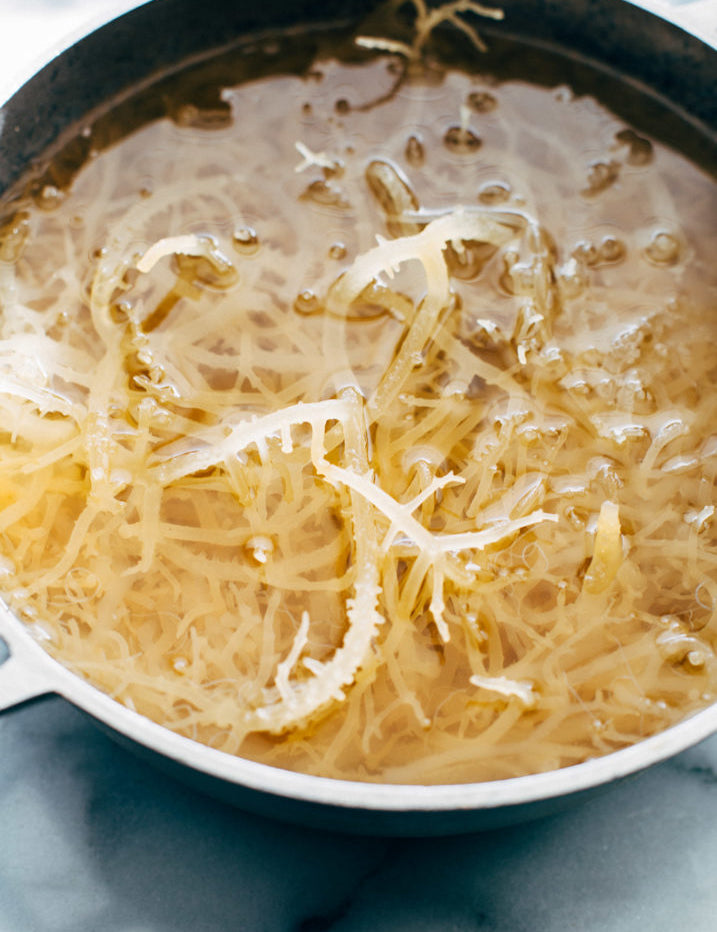 Drinking Sea Moss? The Sea Moss Smoothie You Need to Try!
