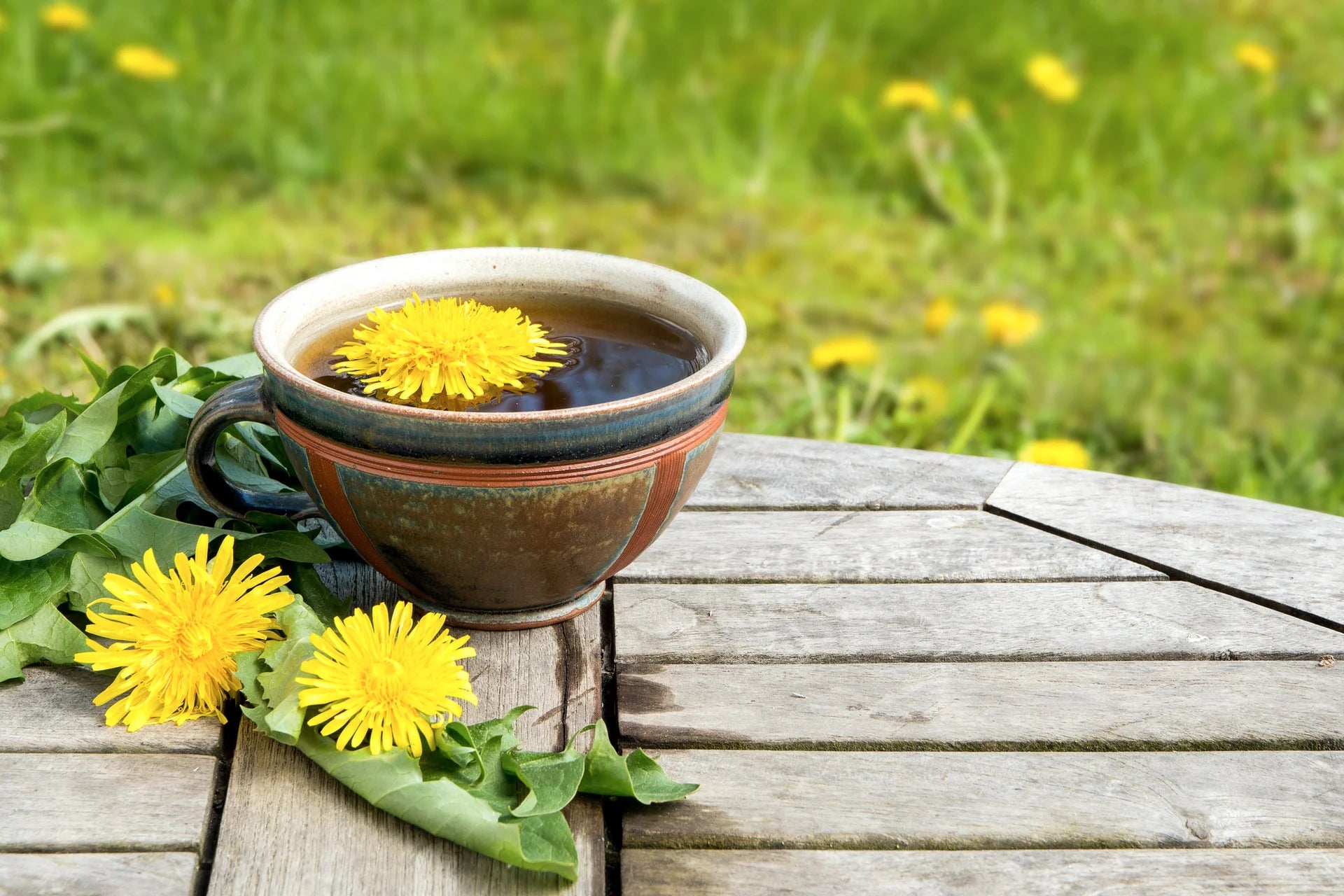 Revitalize Your Body: Discover the Ultimate Dandelion Root Detox Secrets with a Dash of Love! ❤️