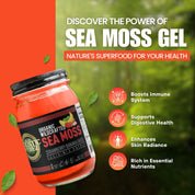 Strawberry Banana Oasis Sea Moss Gel