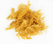 Holistic Vybez Sea Moss Gel - Powerful Natural Superfood
