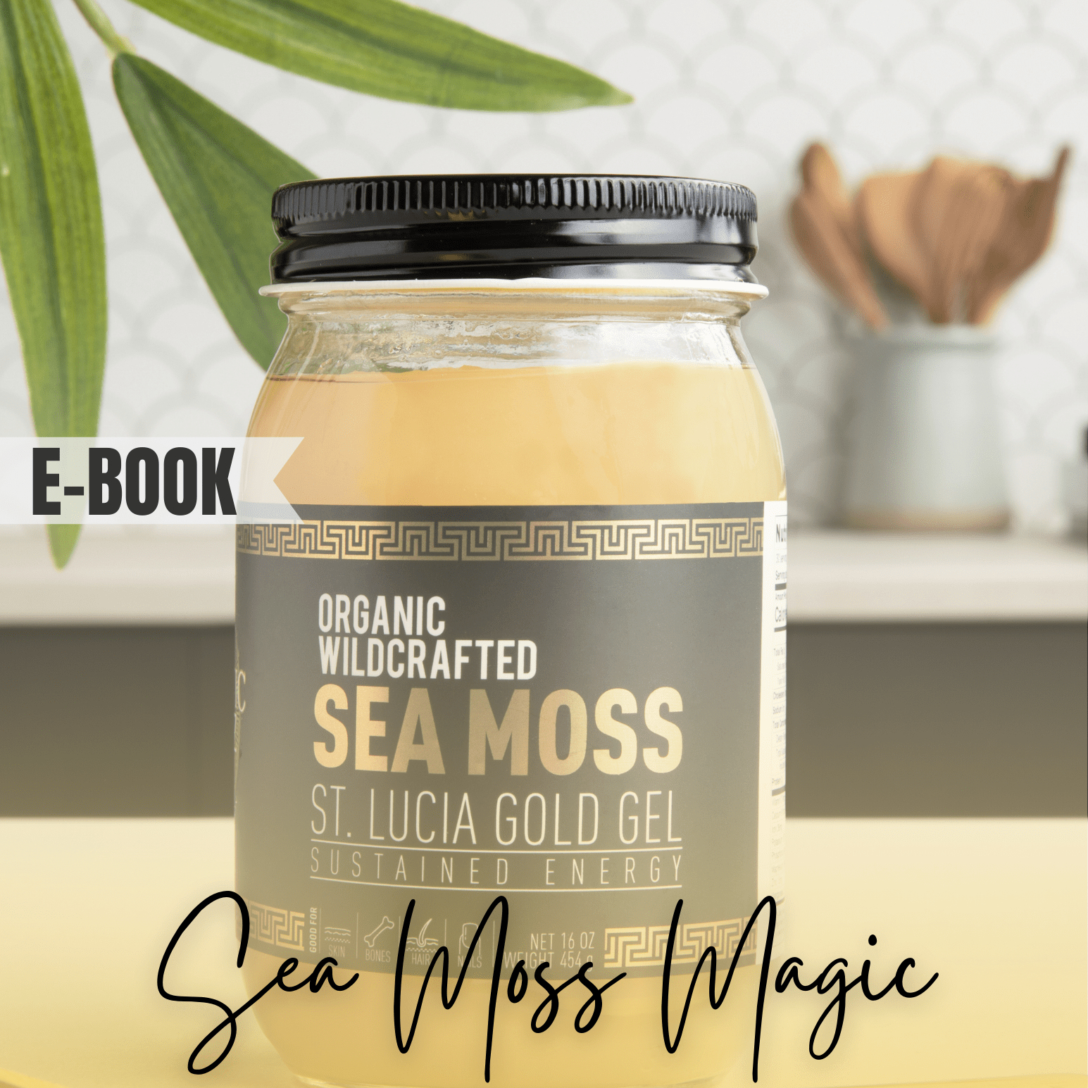 sea moss magic