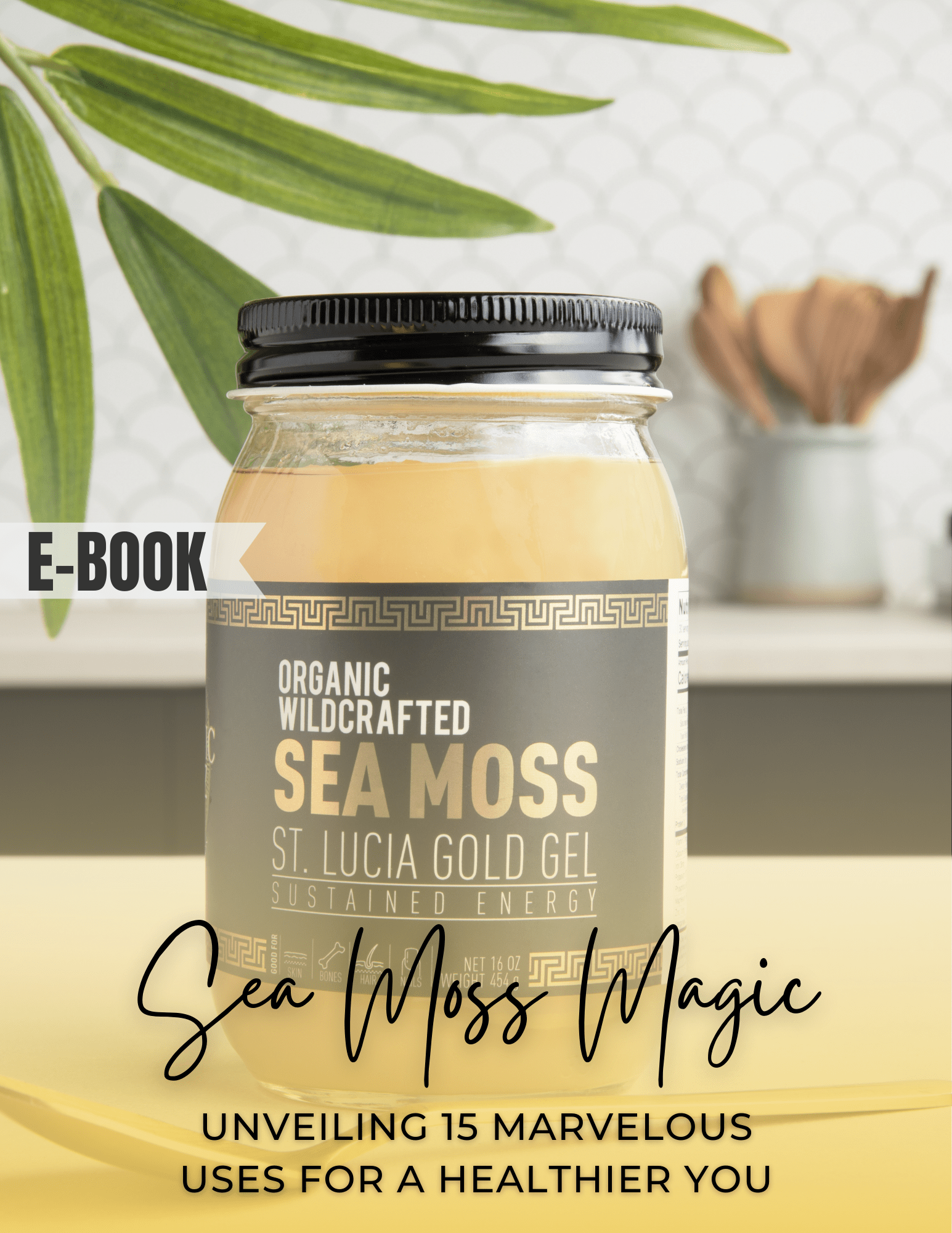 sea moss magic