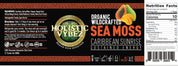 Caribbean Sunrise Sea Moss Gel