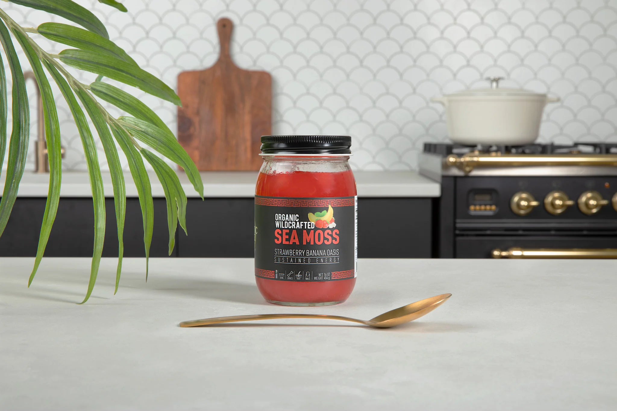 Holistic Vybez Sea Moss Gel - Powerful Natural Superfood