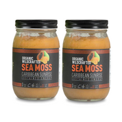 Holistic Vybez Sea Moss Gel - Powerful Natural Superfood