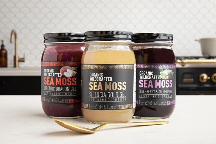 The Ultimate Superfood: Why Sea Moss Gel is the Best – HOLISTIC VYBEZ
